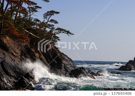 大荒れの碁石海岸 大荒れの碁石海岸 137693406