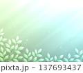 背景 葉 137693437