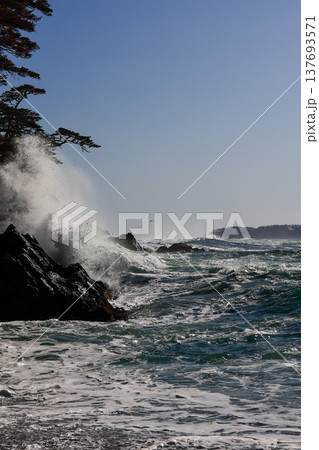 大荒れの碁石海岸 137693571
