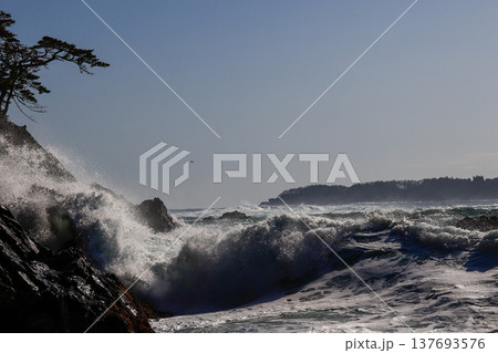 大荒れの碁石海岸 大荒れの碁石海岸 137693576