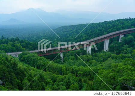 北海道三国峠 松見大橋と大雪山の原生林の風景 北海道三国峠 松見大橋と大雪山の原生林の風景 137693643