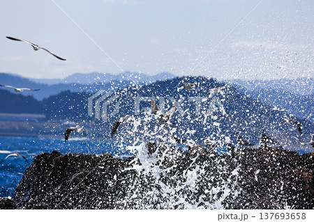 大荒れの碁石海岸 大荒れの碁石海岸 137693658