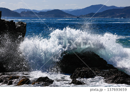 大荒れの碁石海岸 137693659