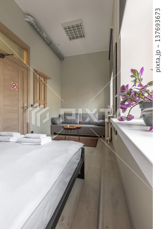 Studio Hotel Room with Double Bed and Grey Sofa Lounge Area Studio Hotel Room with Double Bed and Grey Sofa Lounge Area 137693673
