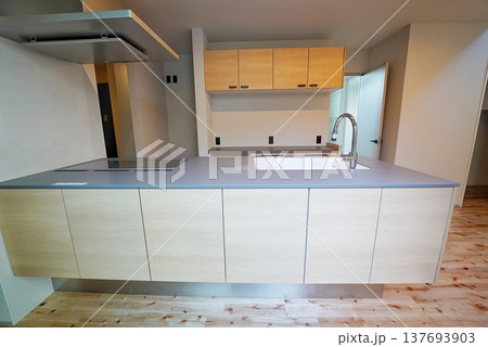 ペット同居型デザイナーズ住宅のお洒落なキッチン 137693903