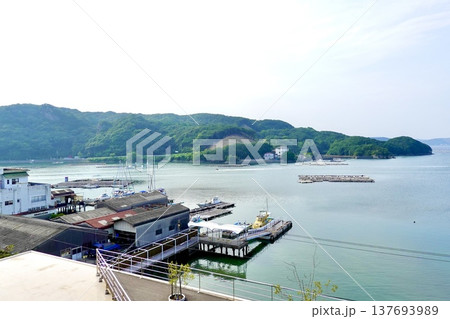 伊勢志摩　本浦温泉　生浦湾に牡蠣養殖筏が浮かぶ風景　三重県鳥羽市 137693989