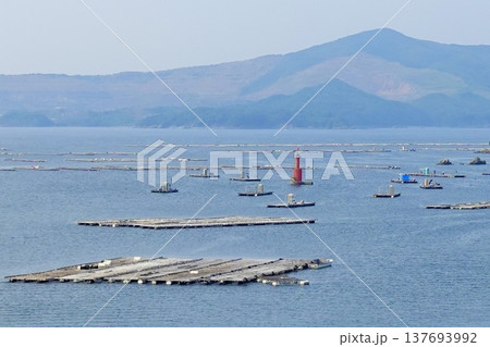 伊勢志摩 本浦温泉 生浦湾に牡蠣養殖筏が浮かぶ風景 三重県鳥羽市 伊勢志摩 本浦温泉 生浦湾に牡蠣養殖筏が浮かぶ風景 三重県鳥羽市 137693992