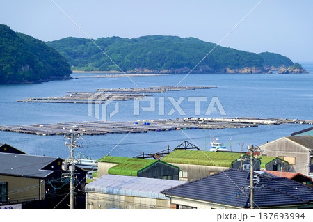 伊勢志摩　本浦温泉　生浦湾に牡蠣養殖筏が浮かぶ風景　三重県鳥羽市 137693994