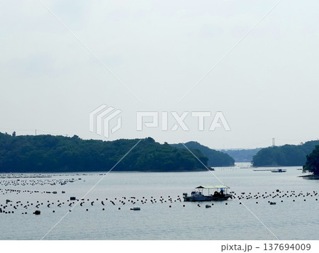 伊勢志摩　英虞湾クルーズ船から見える凪いだ海面に浮かぶ真珠養殖筏の風景　三重県志摩市 137694009