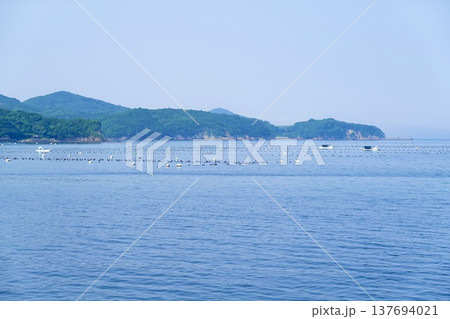 伊勢志摩　英虞湾クルーズ船から見える凪いだ海面に浮かぶ真珠養殖筏の風景　三重県志摩市 137694021