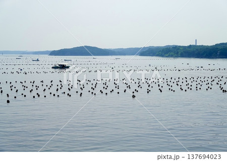 伊勢志摩 英虞湾クルーズ船から見える凪いだ海面に浮かぶ真珠養殖筏の風景 三重県志摩市 伊勢志摩 英虞湾クルーズ船から見える凪いだ海面に浮かぶ真珠養殖筏の風景 三重県志摩市 137694023