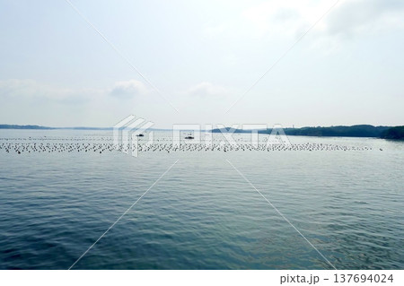 伊勢志摩　英虞湾クルーズ船から見える凪いだ海面と島々の風景　三重県志摩市 137694024