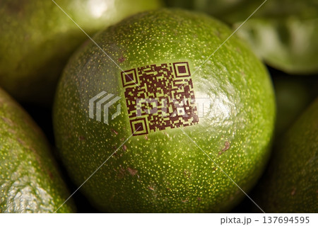 QR code etched on a piece of fruit for...のイラスト素材 [137694595] - PIXTA