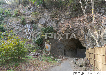 了仙寺横穴群／静岡県下田市 137695438
