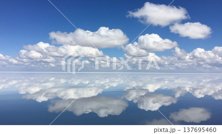 静かな湖畔の風景 137695460