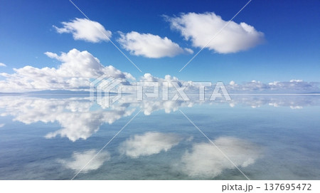 完璧なシンメトリーの風景 137695472