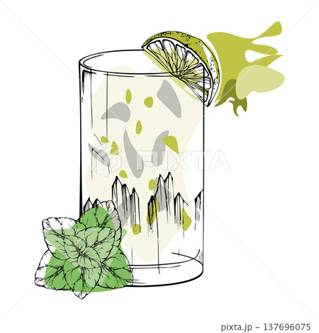 Vector Gin Tonic, mojito cocktail, water with citrus pulp in highball glass with lime slice and mint leaves. Fresh clean lines hand drawn in ink. Bar branding, mixology sets, and digital menu visuals. 137696075