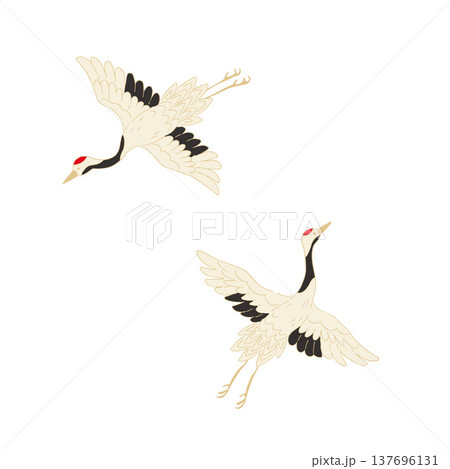 飛んでいる鶴のイラストセット 137696131