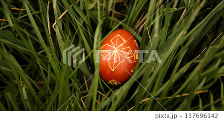 Traditional Ukrainian Easter egg hidden in green grass. Close-up of a red pysanka with hand-drawn folk ornaments lying in thick blades of grass. Easter egg hunt concept 137696142