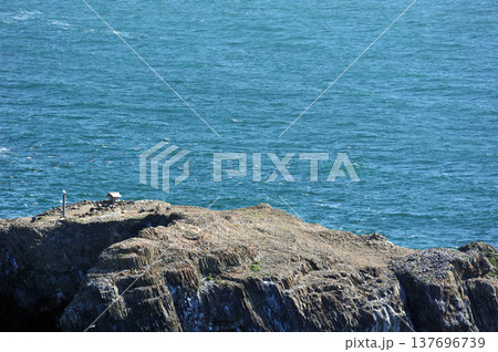 出雲　経島神社 137696739