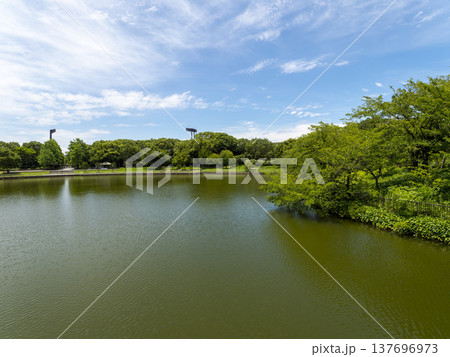 真夏の長居植物園 真夏の長居植物園 137696973