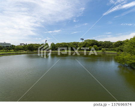 真夏の長居植物園 真夏の長居植物園 137696974