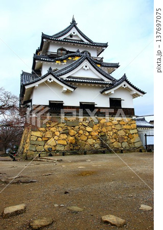 彦根八景・琵琶湖八景に選定される… 国宝天守『彦根城』 137697075