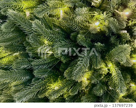 glowing artificial christmas tree branches close-up for holiday web design and branding glowing artificial christmas tree branches close-up for holiday web design and branding 137697239