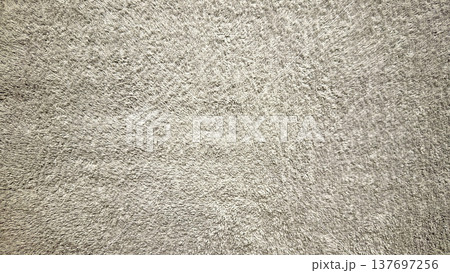 close-up beige shaggy carpet texture for web design and branding 137697256