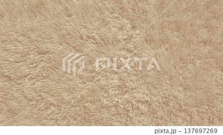 soft beige fluffy fur texture closeup for web background design soft beige fluffy fur texture closeup for web background design 137697269