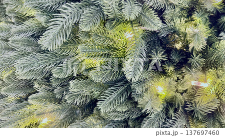 festive fir branches glowing with warm holiday lights in closeup evoking winter magic perfect for seasonal wallpaper or greeting card backdrop festive fir branches glowing with warm holiday lights in closeup evoking winter magic perfect for seasonal wallpaper or greeting card backdrop 137697460
