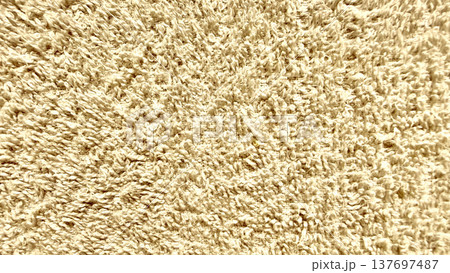 creamy beige shag carpet closeup fluffy fibers soft textured surface abstract background wallpaper banner copy space 137697487