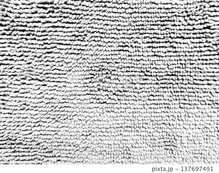 monochrome shag carpet texture closeup with intricate fiber loops and plush piles evoking cozy depth for wallpaper background or design banner 137697491