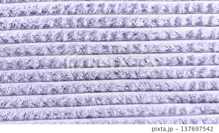 lavender ribbed plush fabric texture with soft striped pile, seamless textile background for web design, print media, branding, packaging, interior decor surface 137697542