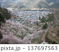 旧・青梅の梅園 旧・青梅の梅園 137697563