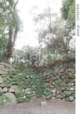2024年・福岡・福岡市・風景・中央区城内・城・福岡城跡・其の九十二 2024年・福岡・福岡市・風景・中央区城内・城・福岡城跡・其の九十二 137697845