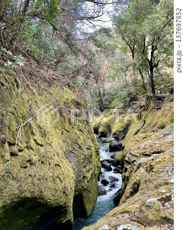 宮崎県の観光名所 苔に覆われた高千穂峡の渓流 宮崎県の観光名所 苔に覆われた高千穂峡の渓流 137697852