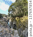 宮崎県の観光名所　高千穂峡の岩壁と渓谷の風景 137697854