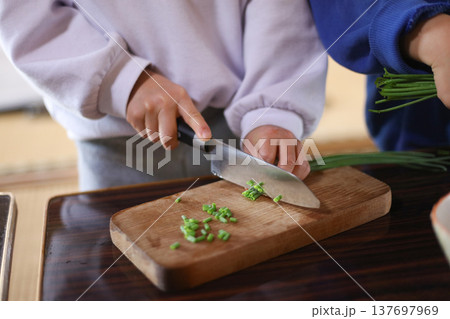 野菜を切る女の子 137697969