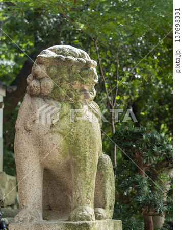 苔が生えた神社の狛狐 137698331