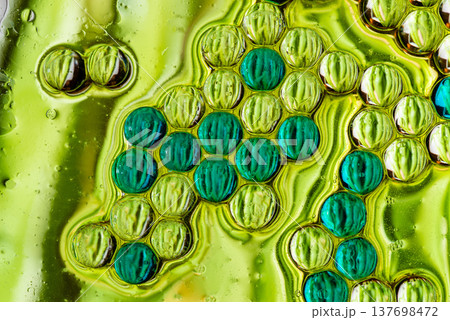 Green and yellow oil bubble grid macro abstract organic texture 137698472