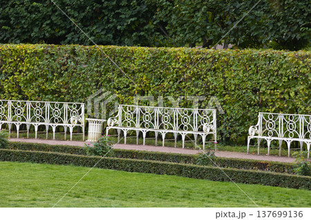 Row of ornate white metal benches in a park Row of ornate white metal benches in a park 137699136