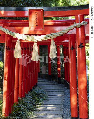 葛城一言主神社境内の稲荷神社 葛城一言主神社境内の稲荷神社 137699441