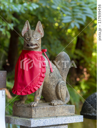 稲荷神社の狛狐 137699456