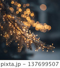 Close-up of glowing fairy lights wrapped around a Christmas tree branch, blurred golden bokeh in the background, warm cozy holiday vibe  137699507