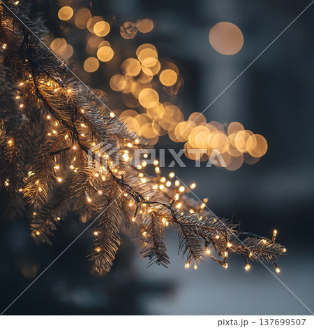 Close-up of glowing fairy lights wrapped around a Christmas tree branch, blurred golden bokeh in the background, warm cozy holiday vibe  137699507