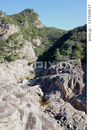 高知県土佐清水市　龍宮神社参道 137699637