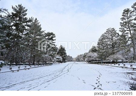 雪の日の京都御苑の景色 雪の日の京都御苑の景色 137700095