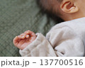 お昼寝する赤ちゃん 137700516