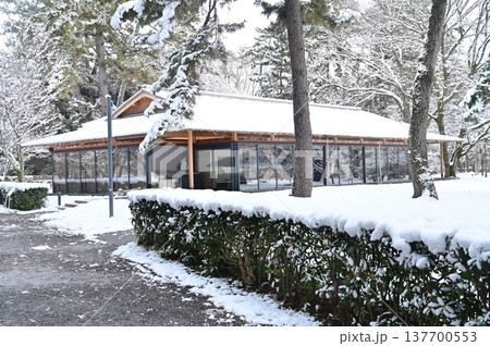 中立売休憩所の雪景色(京都御苑) 中立売休憩所の雪景色(京都御苑) 137700553